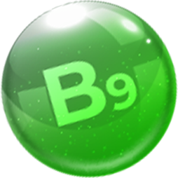 Vitaminas B